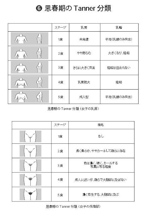 陰毛生長|タナー段階